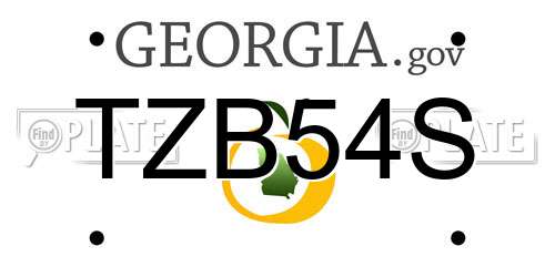 TZB54S Georgia License Plate