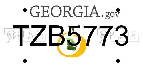 TZB5773 Georgia License Plate