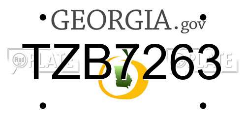 TZB7263 Georgia License Plate