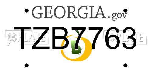 TZB7763 Georgia License Plate