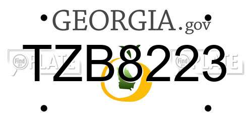 TZB8223 Georgia License Plate
