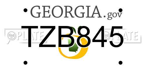 TZB845 Georgia License Plate