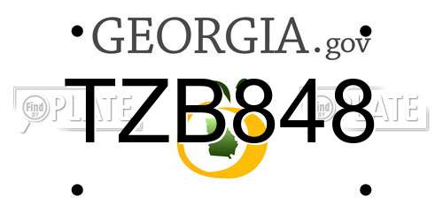 TZB848 Georgia License Plate