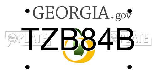 TZB84B Georgia License Plate