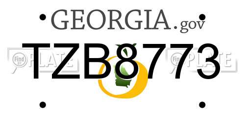TZB8773 Georgia License Plate