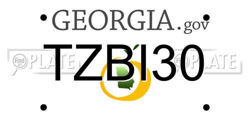 TZBI30 Georgia License Plate