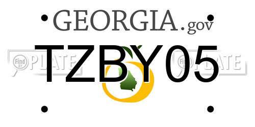 TZBY05 Georgia License Plate