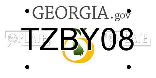 TZBY08 Georgia License Plate