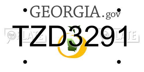 TZD3291 Georgia License Plate
