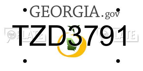 TZD3791 Georgia License Plate