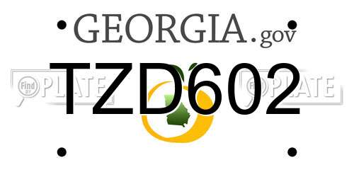 TZD602 Georgia License Plate