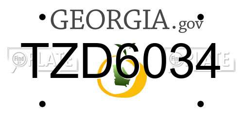 TZD6034 Georgia License Plate