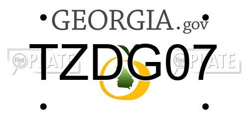 TZDG07 Georgia License Plate