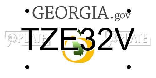 TZE32V Georgia License Plate