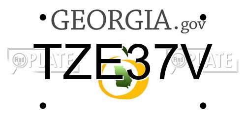 TZE37V Georgia License Plate