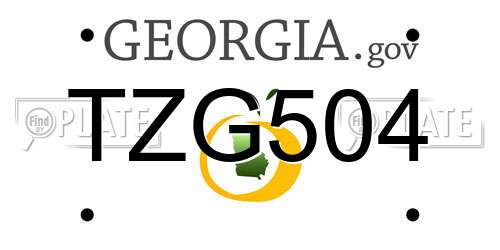 TZG504 Georgia License Plate