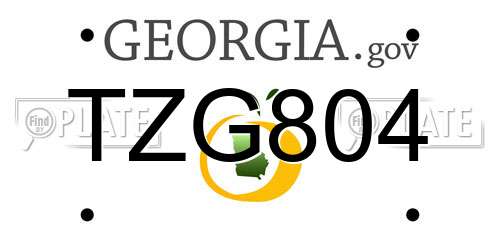 TZG804 Georgia License Plate