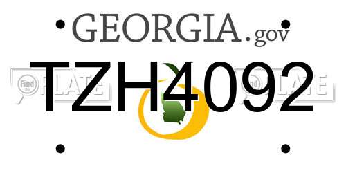 TZH4092 Georgia License Plate