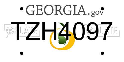 TZH4097 Georgia License Plate