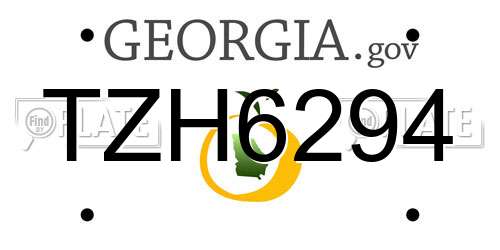 TZH6294 Georgia License Plate