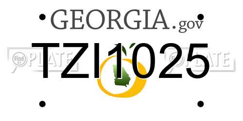 TZI1025 Georgia License Plate