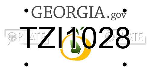 TZI1028 Georgia License Plate