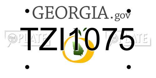 TZI1075 Georgia License Plate
