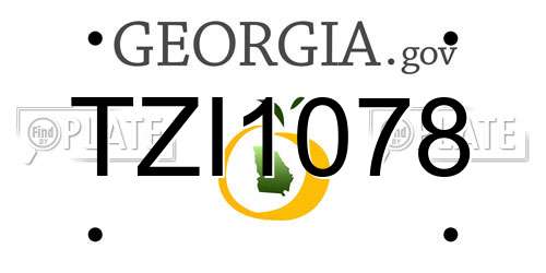 TZI1078 Georgia License Plate