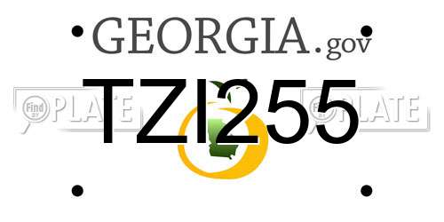 TZI255 Georgia License Plate