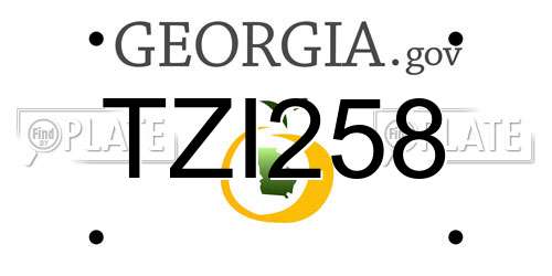 TZI258 Georgia License Plate