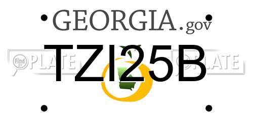 TZI25B Georgia License Plate