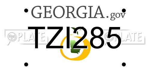 TZI285 Georgia License Plate
