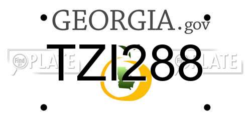 TZI288 Georgia License Plate