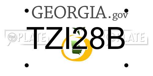 TZI28B Georgia License Plate