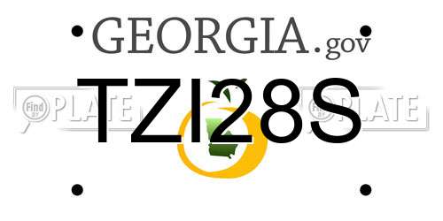 TZI28S Georgia License Plate