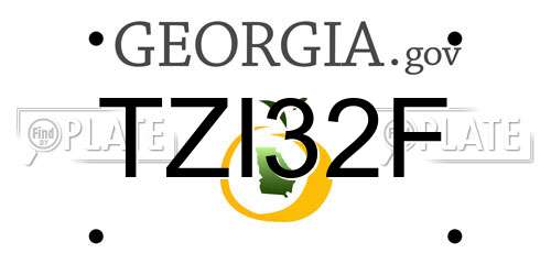 TZI32F Georgia License Plate