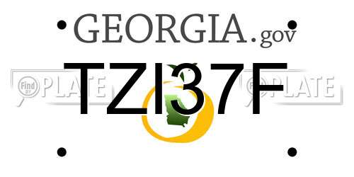 TZI37F Georgia License Plate