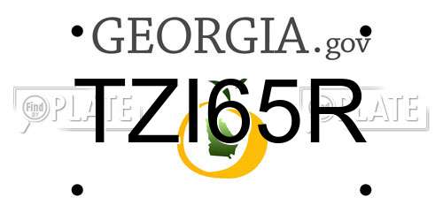 TZI65R Georgia License Plate