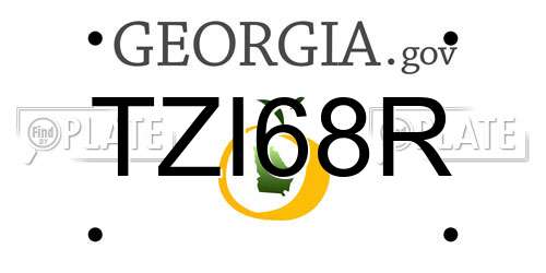 TZI68R Georgia License Plate