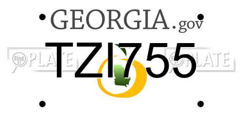 TZI755 Georgia License Plate