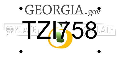 TZI758 Georgia License Plate