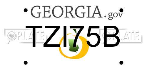 TZI75B Georgia License Plate