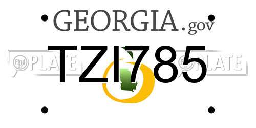 TZI785 Georgia License Plate