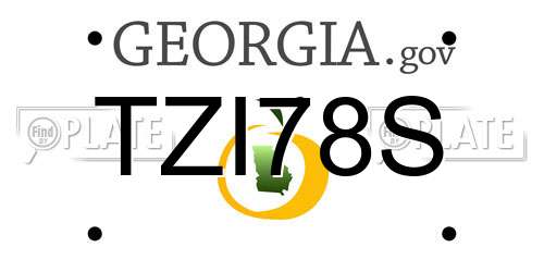 TZI78S Georgia License Plate