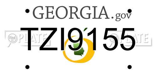 TZI9155 Georgia License Plate