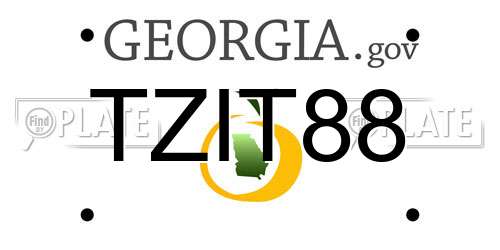 TZIT88 Georgia License Plate
