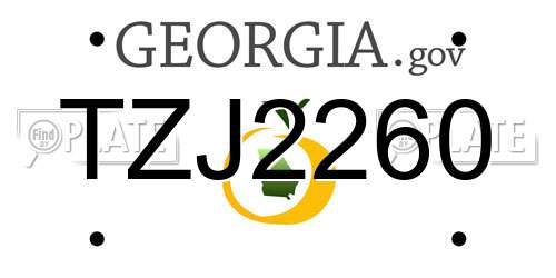 TZJ2260 Georgia License Plate