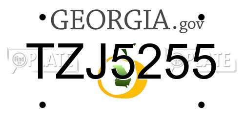TZJ5255 Georgia License Plate