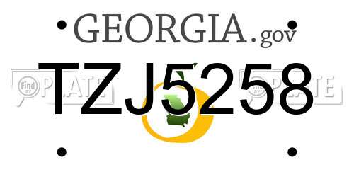 TZJ5258 Georgia License Plate