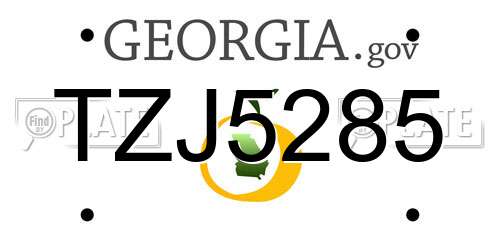 TZJ5285 Georgia License Plate
